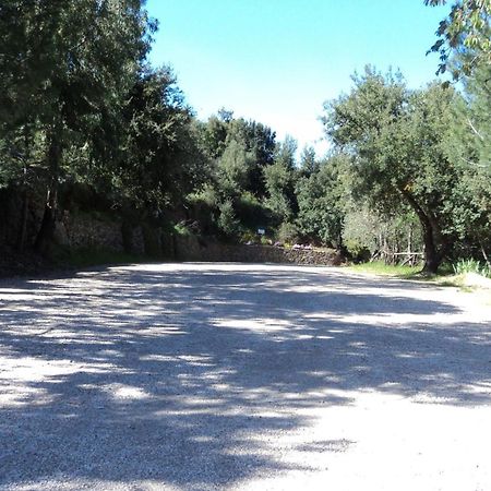 Hotel Sant'elene Dorgali Buitenkant foto