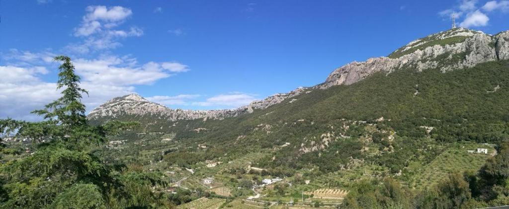 Hotel Sant'elene Dorgali Buitenkant foto