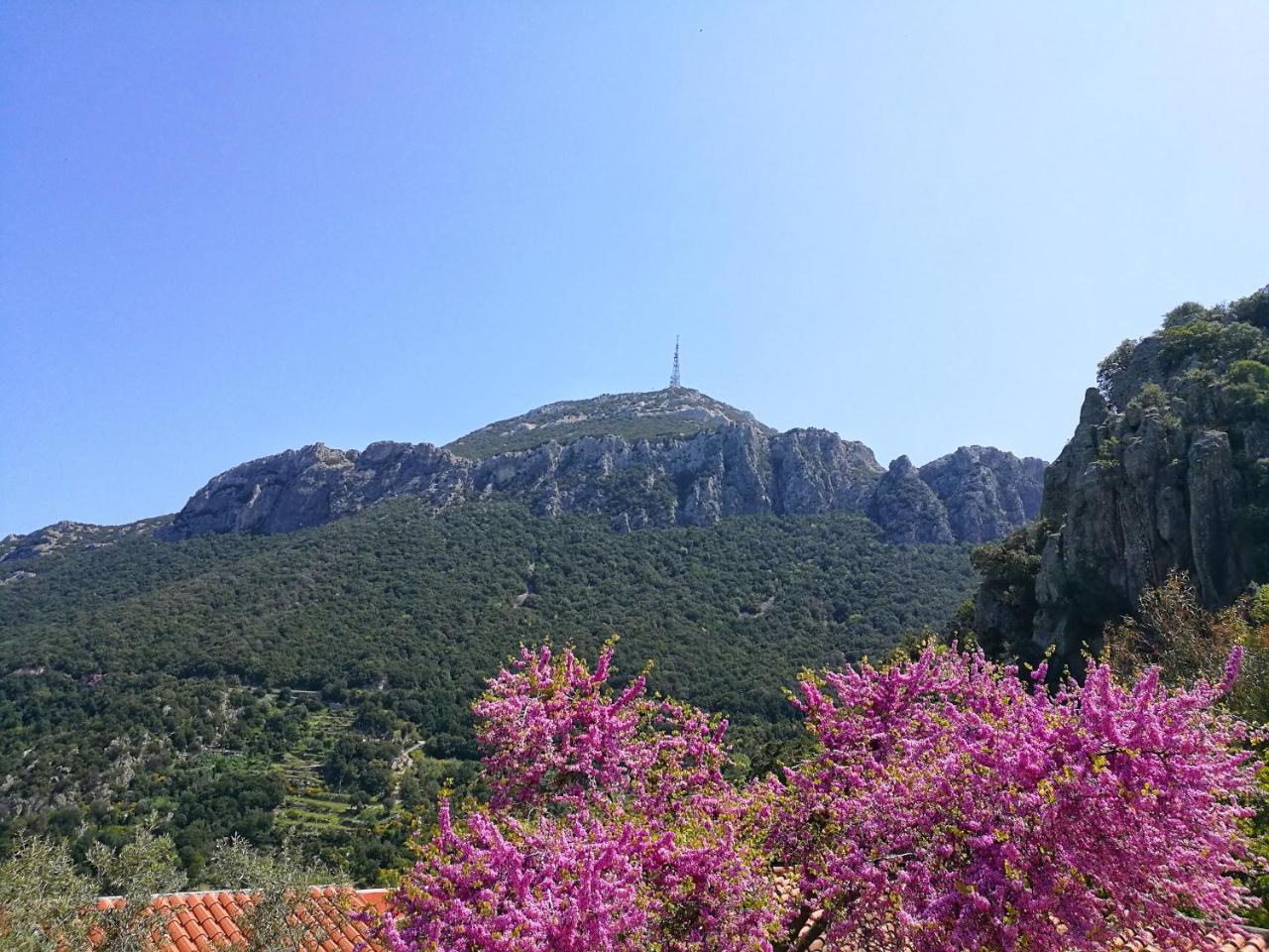 Hotel Sant'elene Dorgali Buitenkant foto